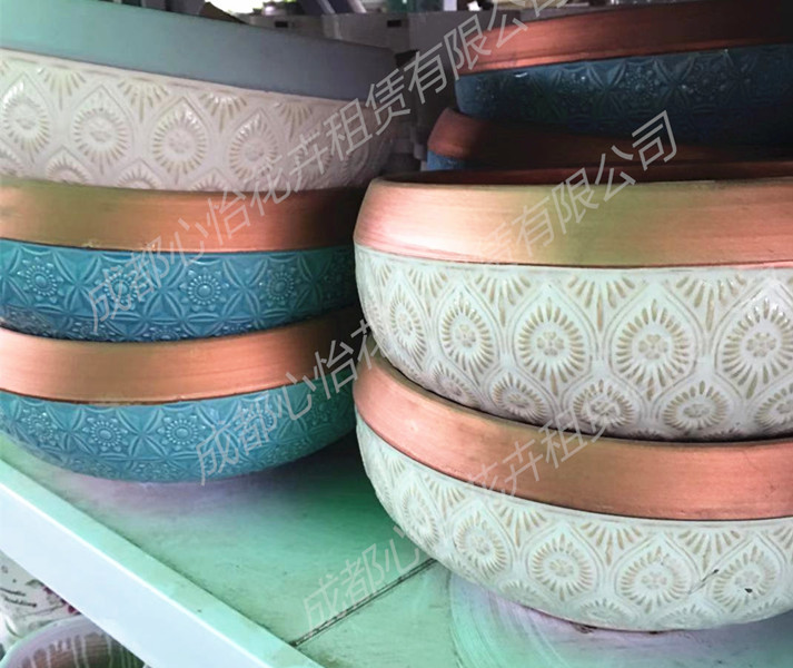 成都盆栽租擺套盆