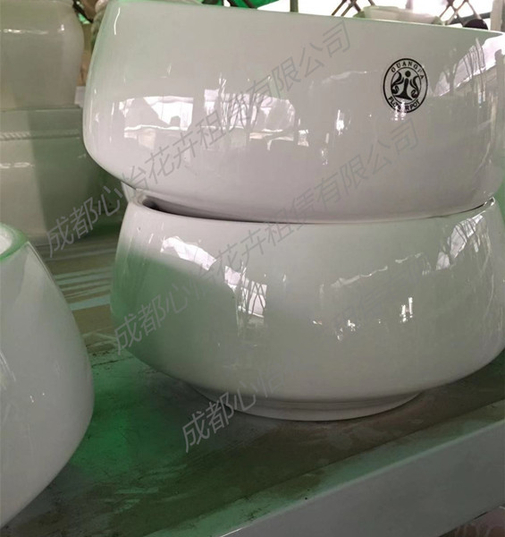 成都盆栽租賃套盆