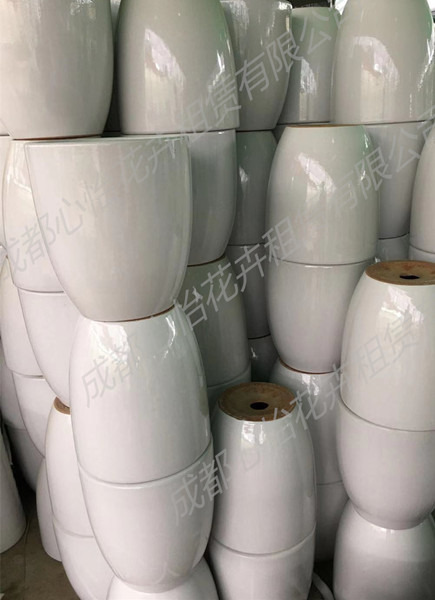 成都植物租擺套盆