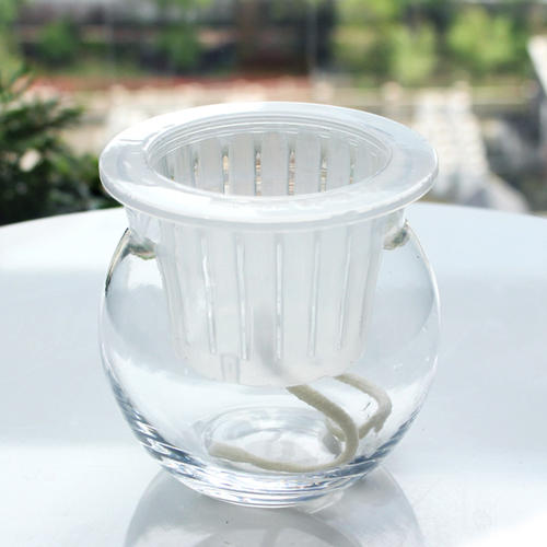 成都水培植物玻璃瓶
