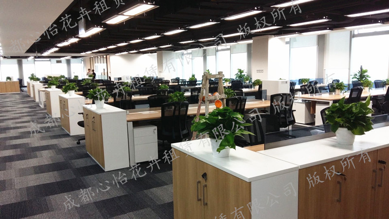 辦公樓植物租擺